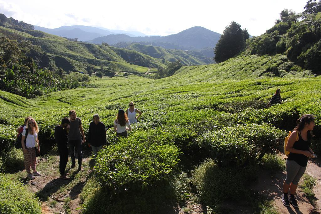 Hillview Inn Cameron Highlands Exteriör bild